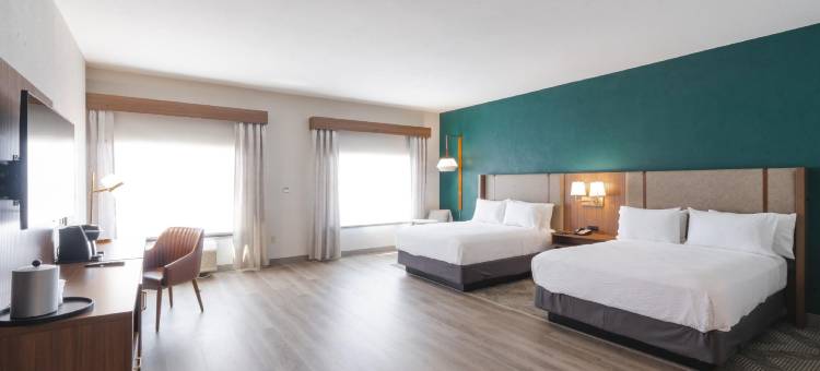 Holiday Inn 侯能源走廊埃尔德里奇(Holiday Inn Hou Energy Corridor Eldridge)图片