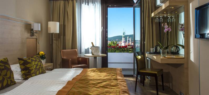 索普朗酒店(Hotel Sopron)图片