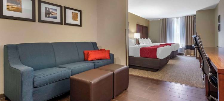 舒适套房酒店-桥港市克拉克斯堡(Comfort Suites Bridgeport - Clarksburg)图片
