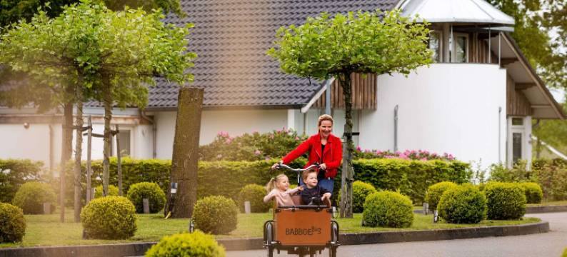 家庭别墅 + 桑拿房和日光室(Family Villa + Sauna & Sunroom)图片