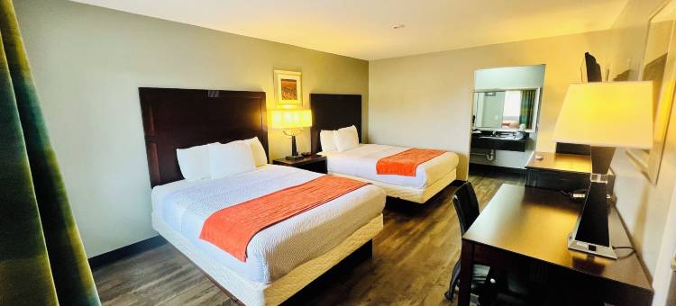 威农酒店(Hotel Vernon)图片