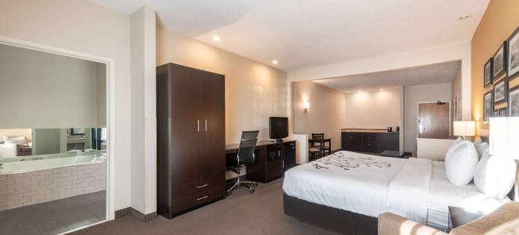 绿湾南舒眠套房酒店(Sleep Inn & Suites Green Bay South)图片