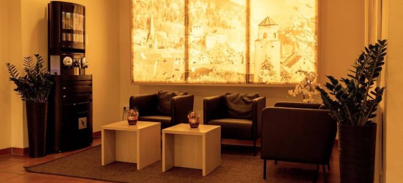 卢文中心酒店(Central Hotel Löwen)图片