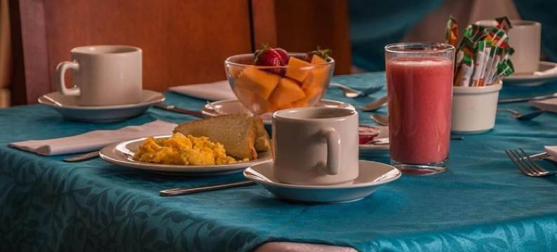 诺加尔套房酒店帕斯托(Nogal Suite Hotel Pasto)图片