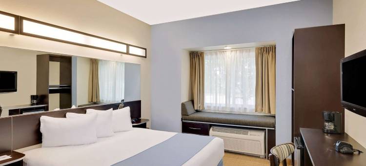 日内瓦麦客达套房酒店(Microtel Inn & Suites by Wyndham Geneva)图片