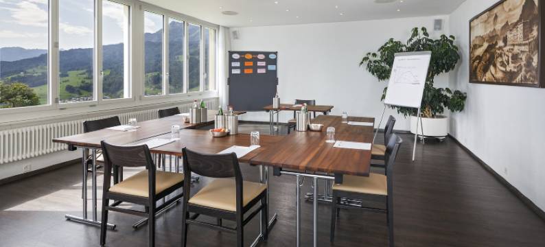 桑弄伯格酒店(Hotel Sonnenberg)图片