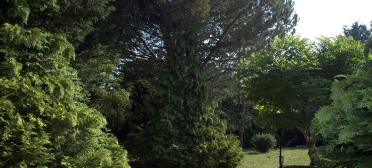 木那城堡酒店(Château la Moune)图片