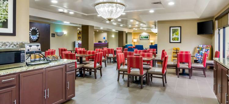 渥太华舒适酒店(Comfort Inn Ottawa)图片