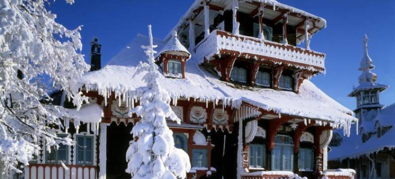 斯塔勒卡西旅馆(Penzion a Restaurace Staré Časy)图片