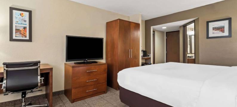 阿尔伯克基市中心舒适套房酒店(Comfort Inn & Suites Albuquerque Downtown)图片