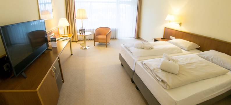 阿莱桑德斯巴德酒店(Hotel Alexandersbad)图片