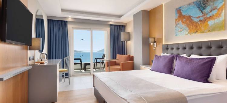博德鲁姆拉昆塔温德姆酒店(La Quinta by Wyndham Bodrum)图片