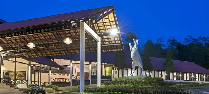 布罗莫格兰德威兹酒店(Grand Whiz Hotel Bromo)图片