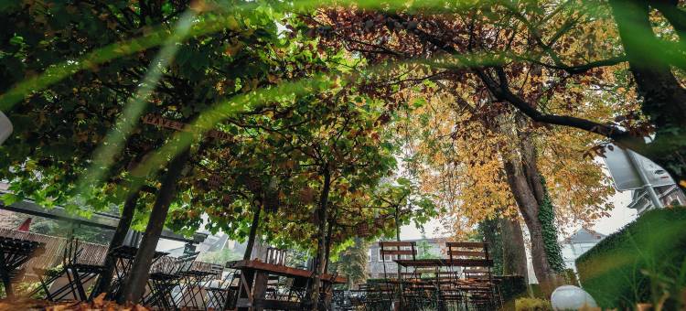 迈诺瓦酒店(Hôtel le Manoir)图片