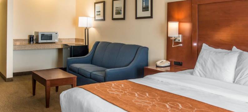 舒适套房酒店(Comfort Suites)图片