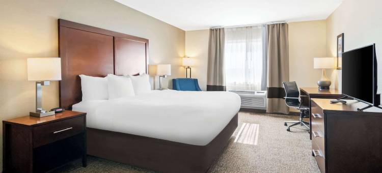 希伯伦洛厄尔区舒适酒店(Comfort Inn Hebron-Lowell Area)图片