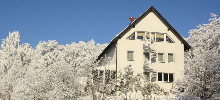哈斯莱西登斯酒店(Hotel Harzresidenz)图片