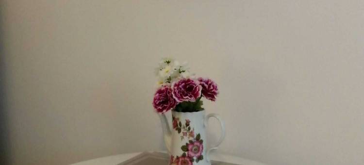 美丽的梅内湖畔的雷吉娜公寓(Apartment Regina am schönen Möhnesee)图片