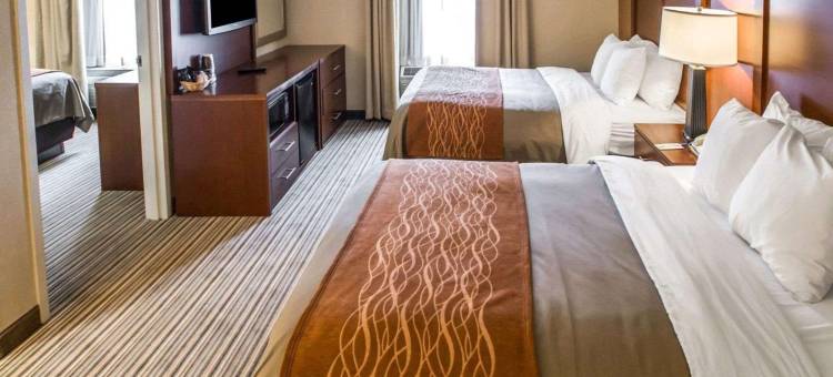 公园舒适酒店就(Comfort Inn at the Park)图片