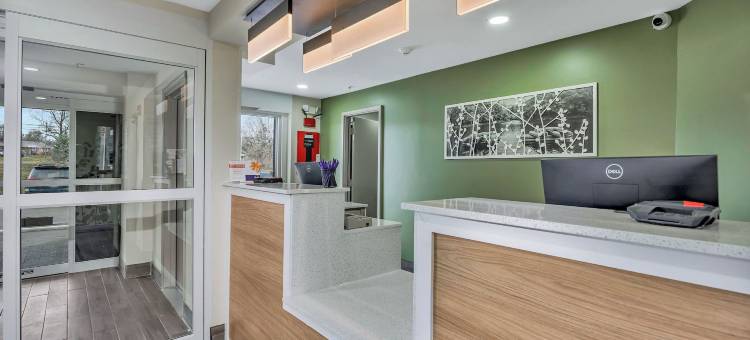 学院旅店(College Inn)图片