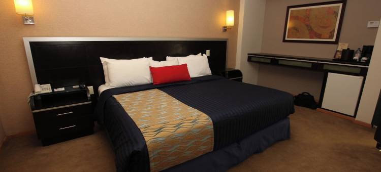 科隆广场商务酒店(Hotel Colón Plaza Business Class)图片