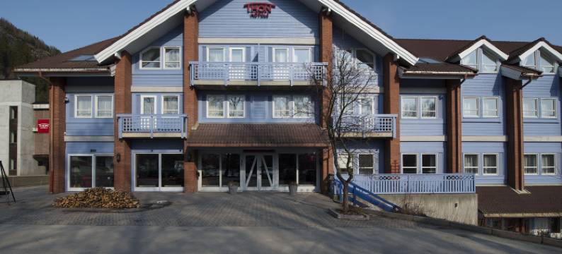 哈灵代尔松恩酒店(Thon Hotel Hallingdal)图片