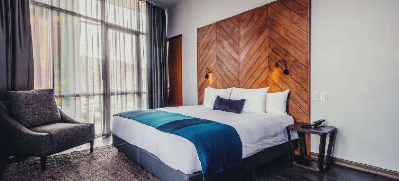 阿提克斯酒店(Atix Hotel)图片