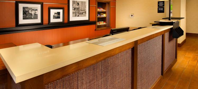 希尔顿欢朋套房酒店-德克萨斯州塞尔玛圣安东尼奥兰多夫空军基地(Hampton Inn & Suites Selma-San Antonio-Randolph AFB Texas)图片