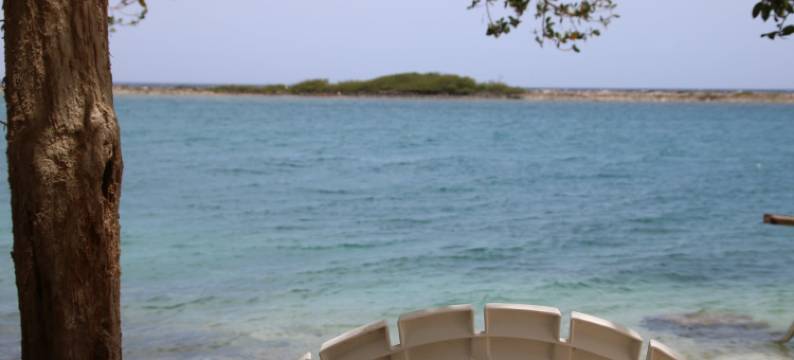 珊瑚礁海滩酒店(Coral Reef Beach)图片