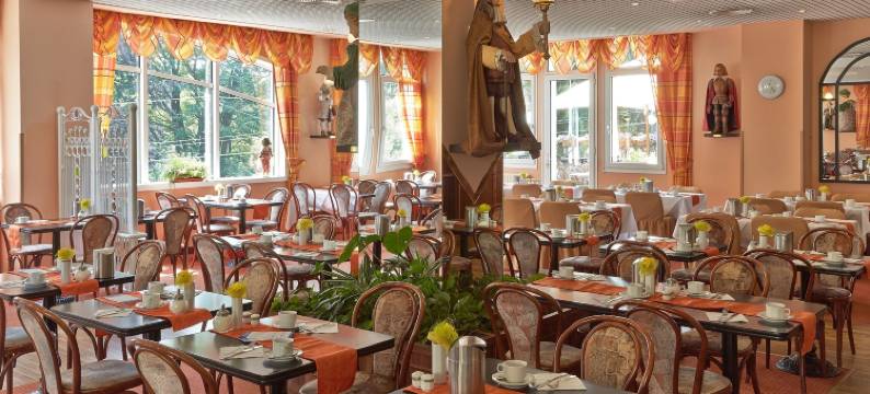 恩萨纳蝴蝶酒店(Ensana Butterfly)图片