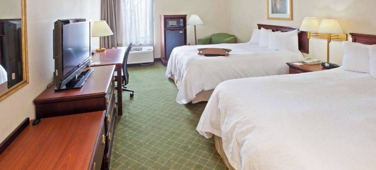 希尔顿欢朋酒店-玛丽埃塔(Hampton Inn Marietta)图片