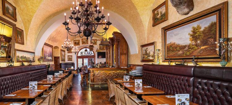 布拉格铁门套房酒店(Iron Gate Hotel & Suites Prague by Bhg)图片