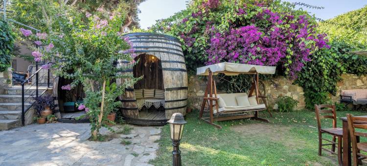 阿尔玛格兰蒂波扎亚达特殊类别酒店(Armagrandi Hotel Bozcaada-Special Category)图片