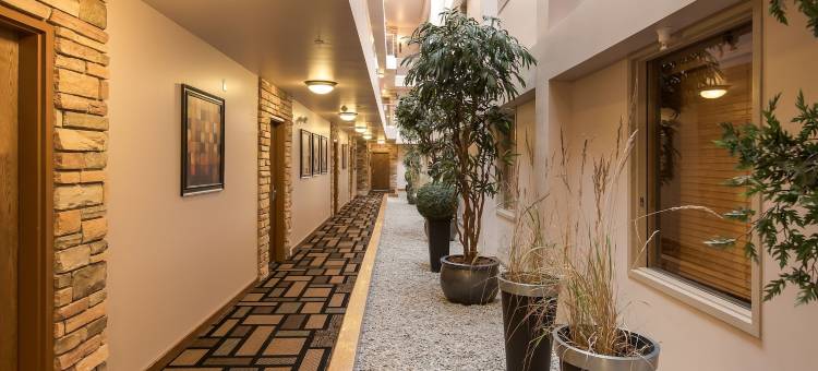 素美酒店(Prime Hotel)图片