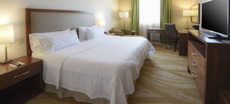 智选假日套房酒店-塞拉亚(Holiday Inn Express & Suites CELAYA by IHG)图片