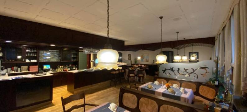 黑伯斯汀酒店(Hotel Herbstein)图片