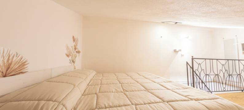 阿尔戈旅馆(Casa Argo Guest House)图片