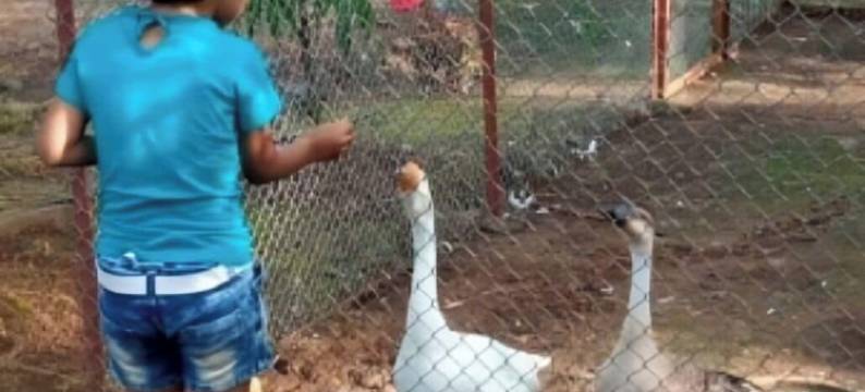 比马尔农场家居住宿(Bimal Farm Home Stay)图片