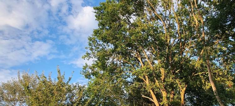 朱迪思之家(La Maison de Judith Chambres D hôtes)图片