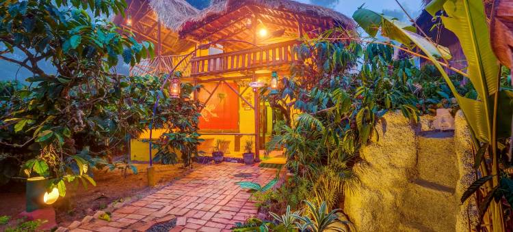 常青县度假村库格 - 咖啡种植园度假屋(Evergreen County Retreat-India's First Adventure Veg Retreat)图片