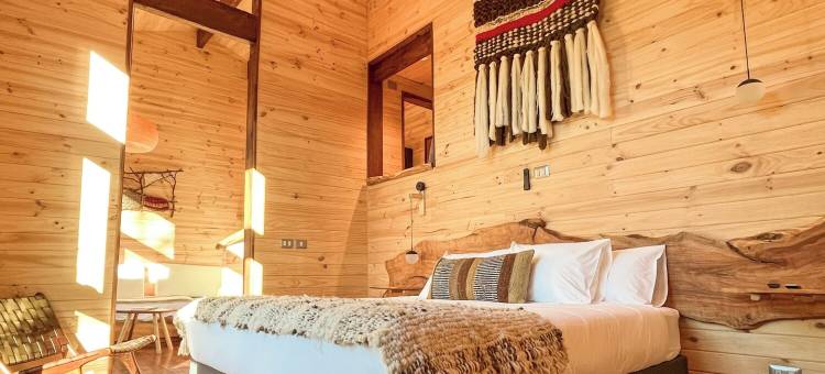 尼纽恩小屋(NI-Newen Hotel & Lodge)图片