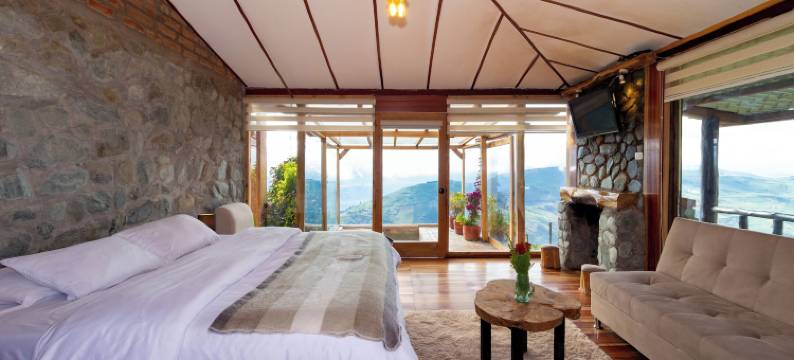 梦中的雪松(El Cedro SOÑADO)图片