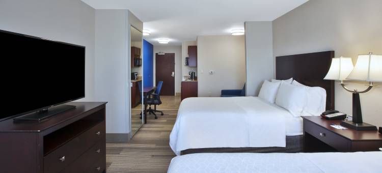 奈尔斯智选假日酒店(Holiday Inn Express & Suites Niles)图片