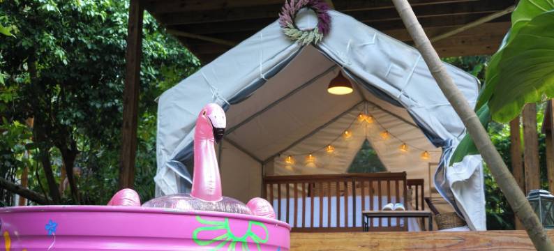 巴查之家(Casa Parcha)图片