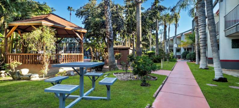 希尔托普酒店(Hiltop Hotel)图片