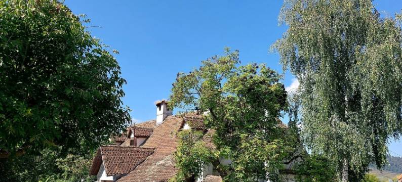 卡尔诺基伯爵的特兰西瓦尼亚旅馆(Count Kalnoky's Transylvanian Guesthouse)图片