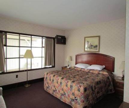 樱桃巷汽车旅馆(Cherry Lane Motor Inn)