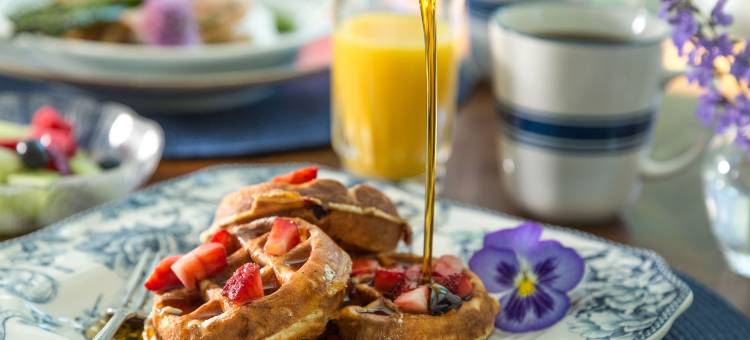 丹佛菲尔德旅馆(Devonfield Inn)图片