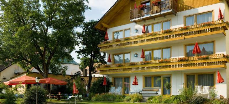 兰加斯霍夫默塞尔酒店(Landgasthof Moser & Restaurant Bootshaus)图片