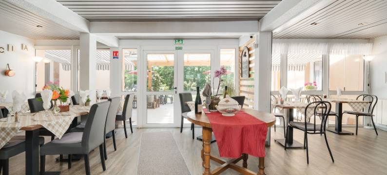 南卢内维尔阿卡西亚南希酒店(Hôtel Acacia Nancy Sud Lunéville)图片